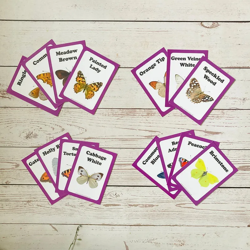 Butterfly Discover Cards