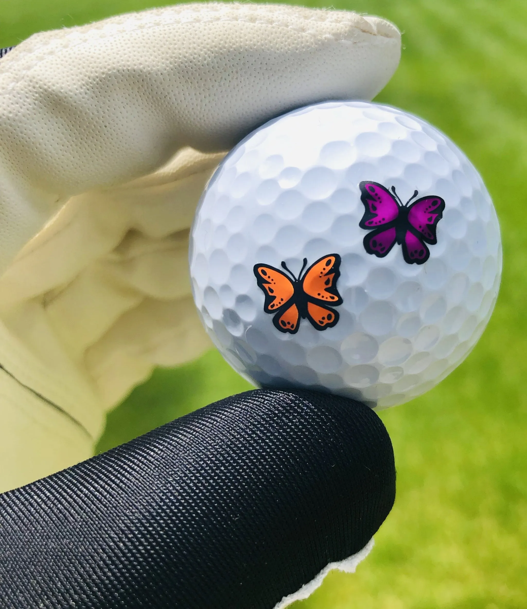 Majestic Butterfly Mix