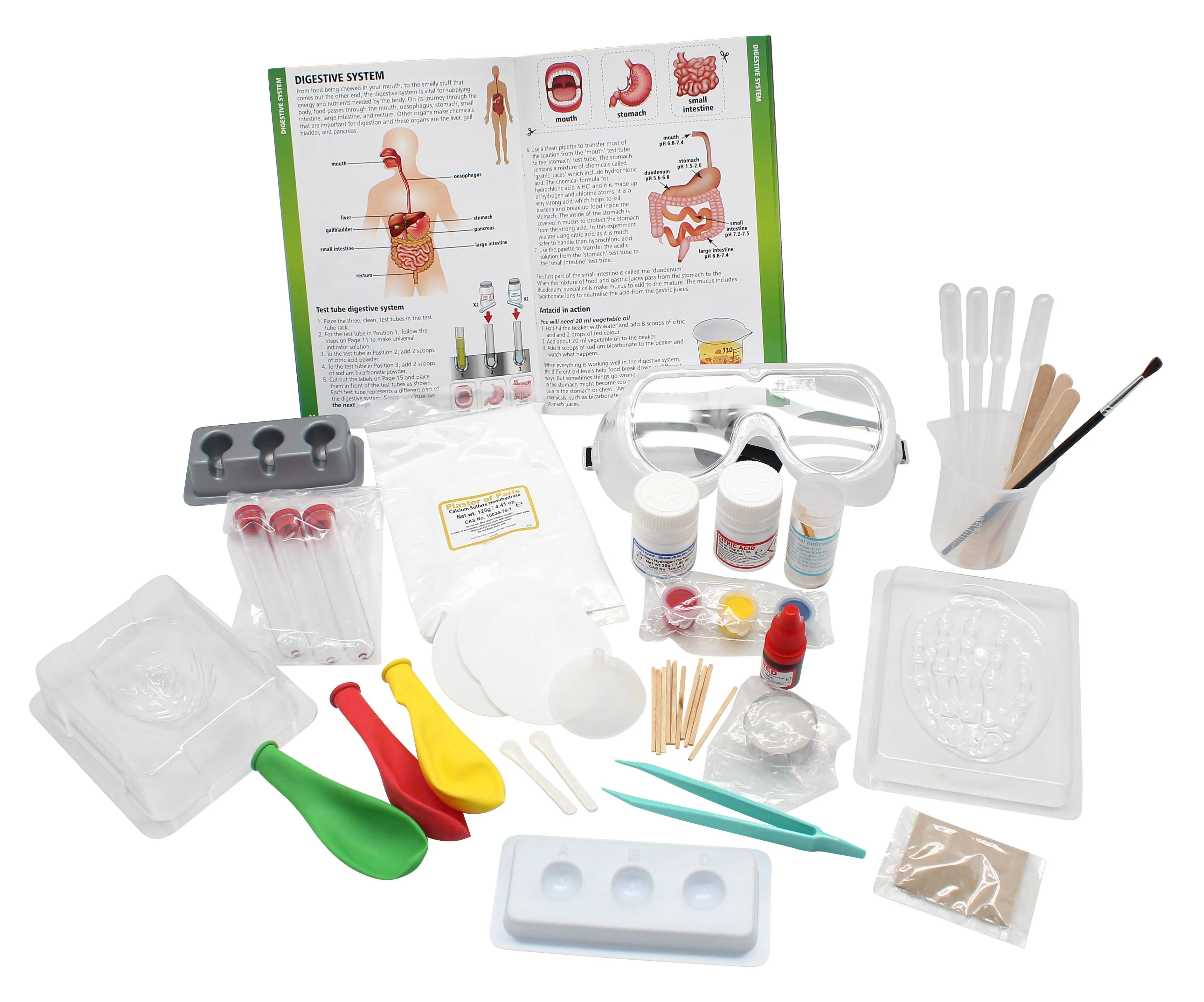 Medical Science Human Body Exploration Toy Set for Kids