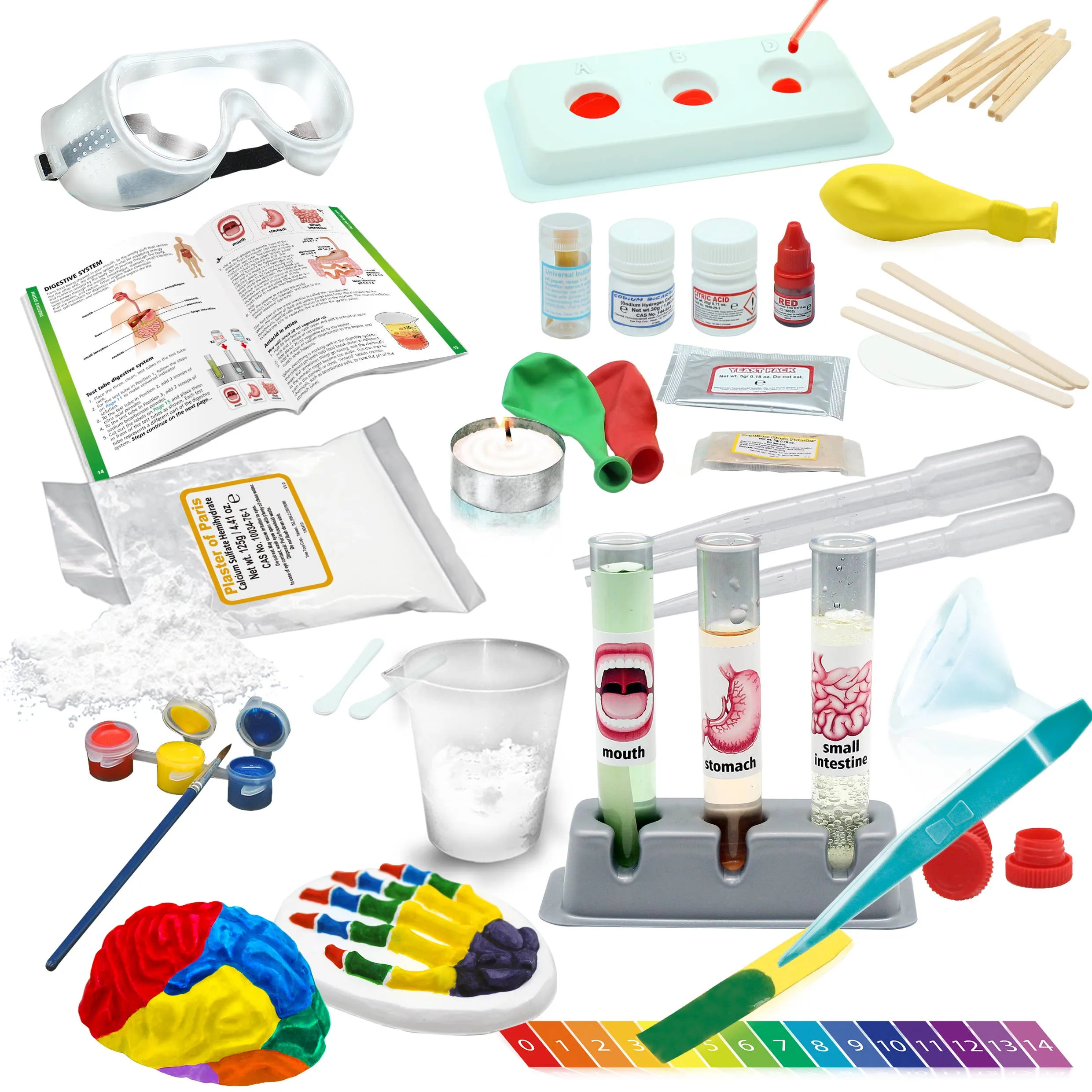 Medical Science Human Body Exploration Toy Set for Kids