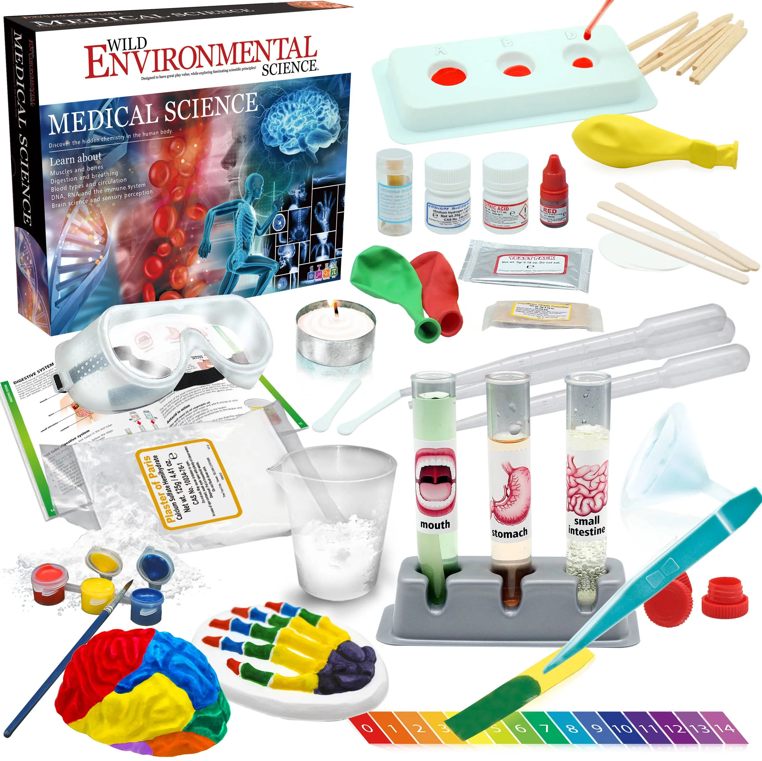 Medical Science Human Body Exploration Toy Set for Kids