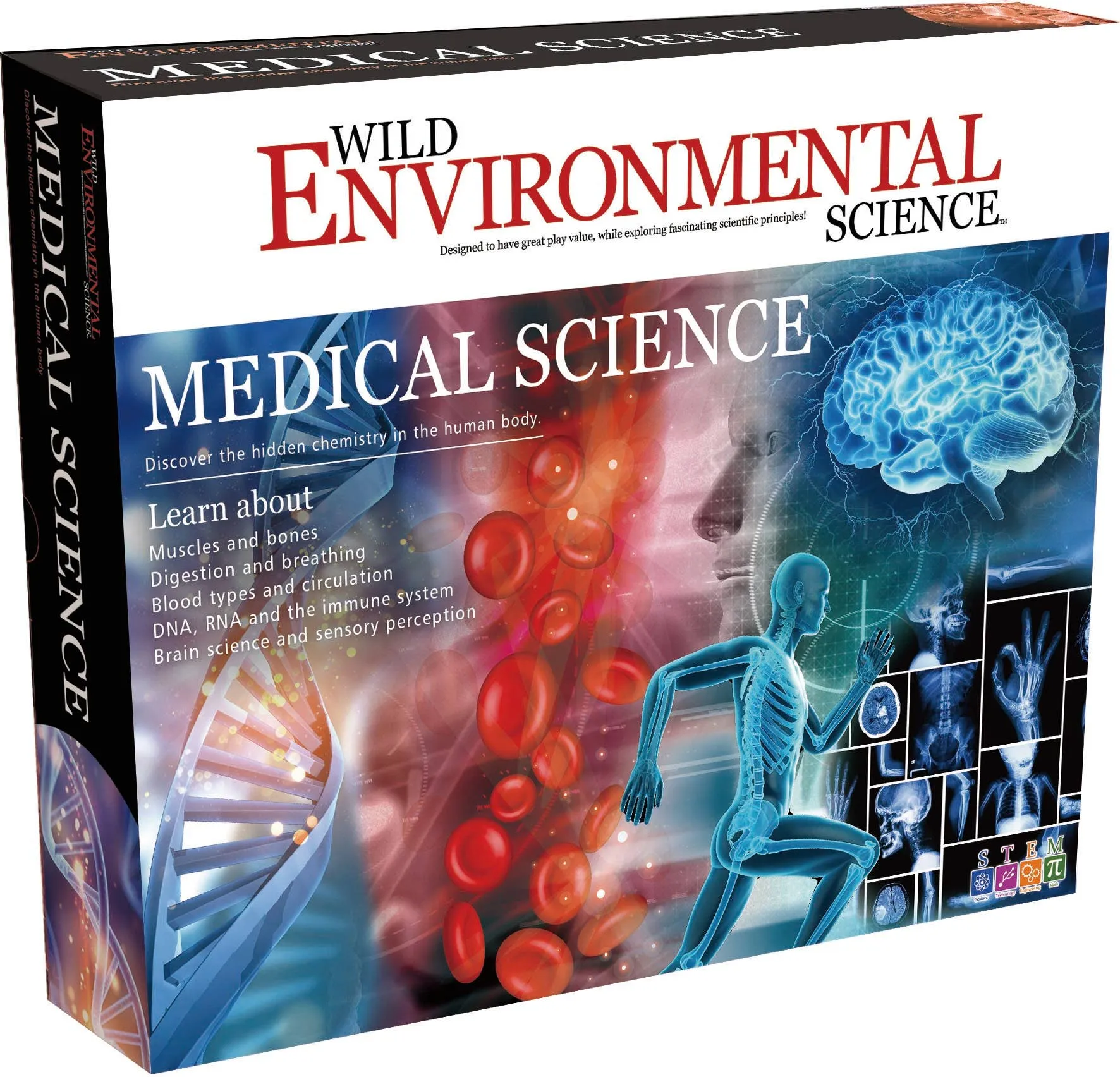 Medical Science Human Body Exploration Toy Set for Kids